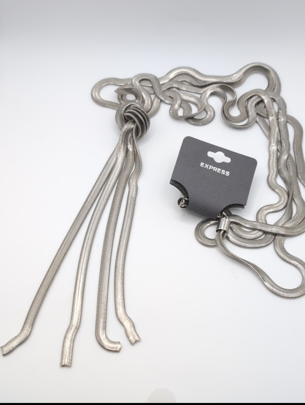 EXPRESS Silver Lariat Style Tassel Necklace NWT $50